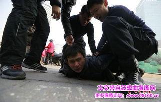 欧美交警抓捕现场视频