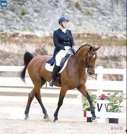 马术女教练欧美视频,马术女教练的欧美风采展示