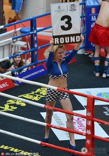 欧美拳击举牌女视频,激情与美貌并存