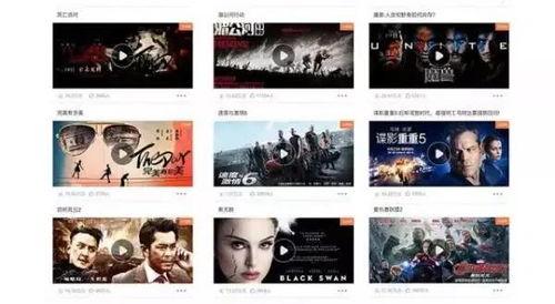 搜狗视频欧美A片,搜狗视频带你领略异域风情