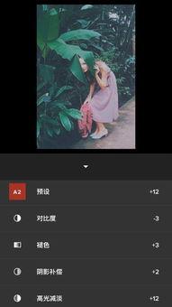 怎么调欧美滤镜视频,视频滤镜制作指南