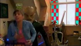 昆虫入侵欧美视频,视频揭示生态失衡真相