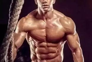 欧美肌肉造型视频教程,打造完美身材的秘诀解析